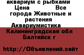 аквариум с рыбками › Цена ­ 15 000 - Все города Животные и растения » Аквариумистика   . Калининградская обл.,Балтийск г.